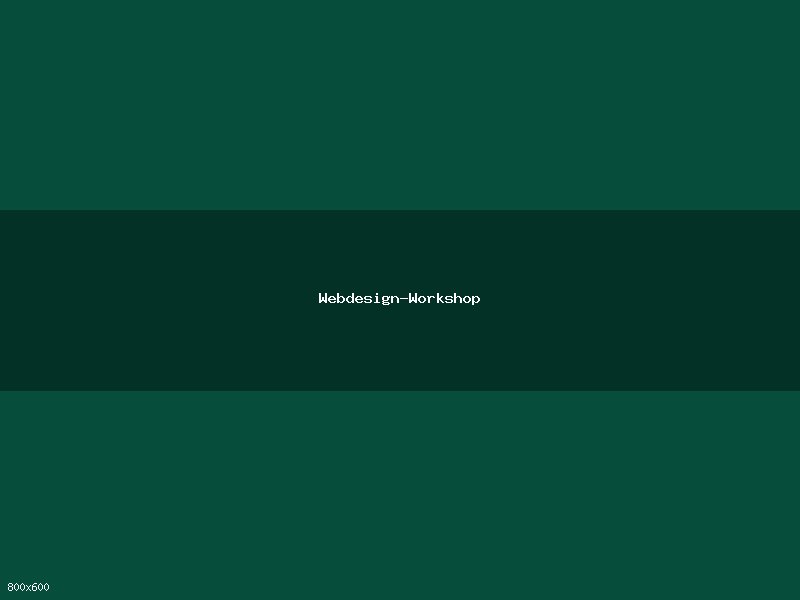 Webdesign-Webinar – Teilnehmer am Bildschirm